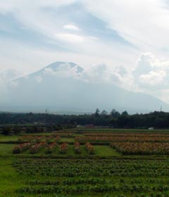 20080808_7.jpg