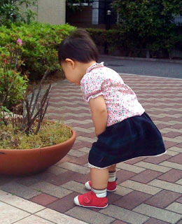 20090528_1.jpg