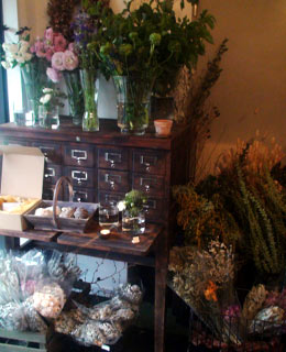 20100128_5.jpg