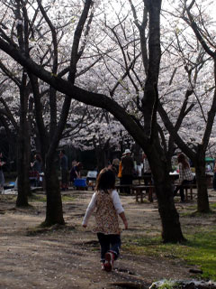 20100406_4.jpg