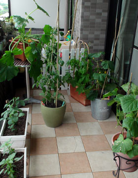 20100613_24.jpg