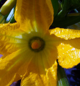 20100615_4.jpg