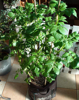 20101114_10.jpg