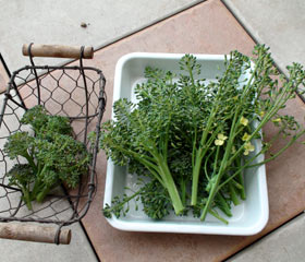 20110312_1.jpg