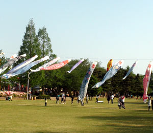 20110508_9.jpg