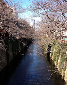 20130127_1.jpg