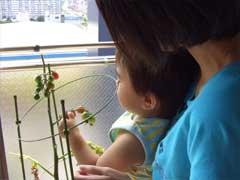 20060726_4.jpg