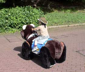 20070526_5.jpg