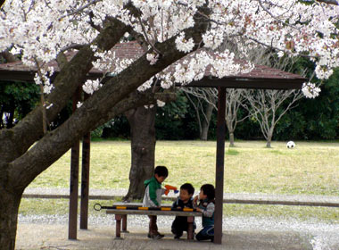 20080404_3.jpg